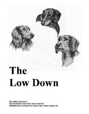 low-down-publication