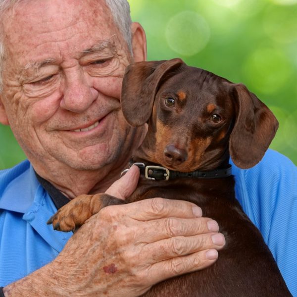 A shallow focus of an elderly Caucasian man holding an endearing Dachshund dog
